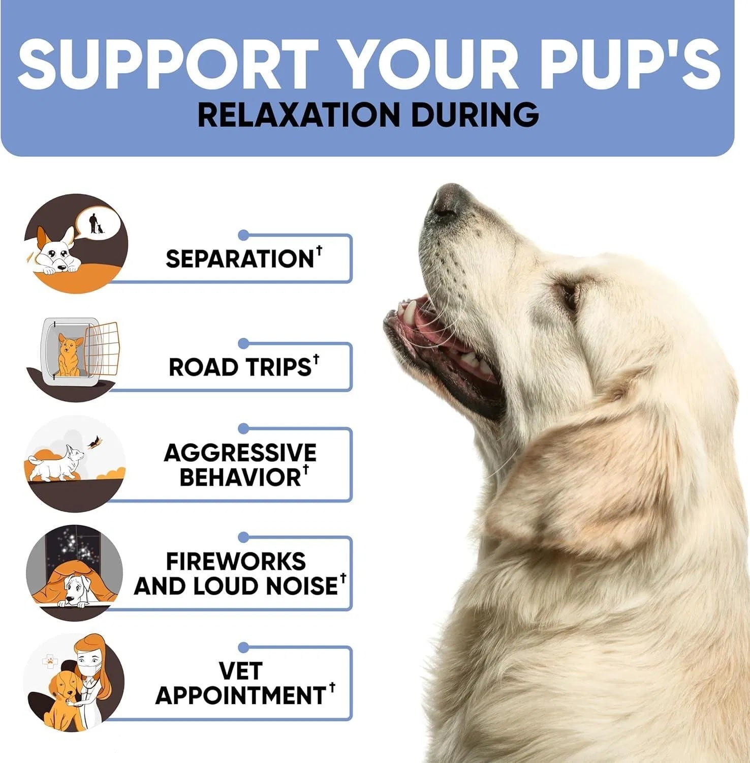 Hemp Bliss Calming Chews - Premium Anxiety Relief Treats for Dogs - Woofcuties