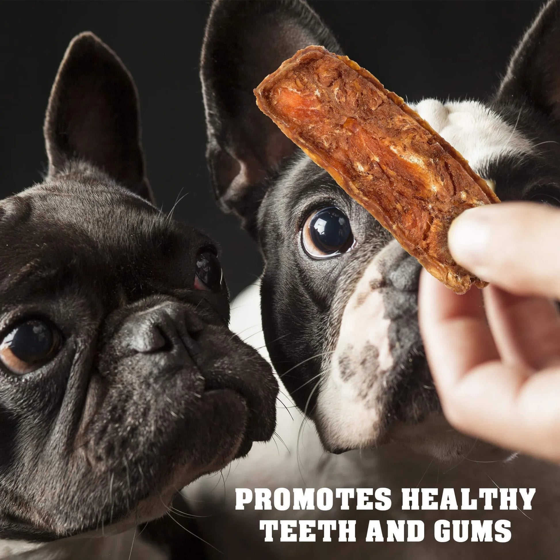 Premium Chicken Jerky Dog Treats - High-Grade Protein Chews - Woofcuties