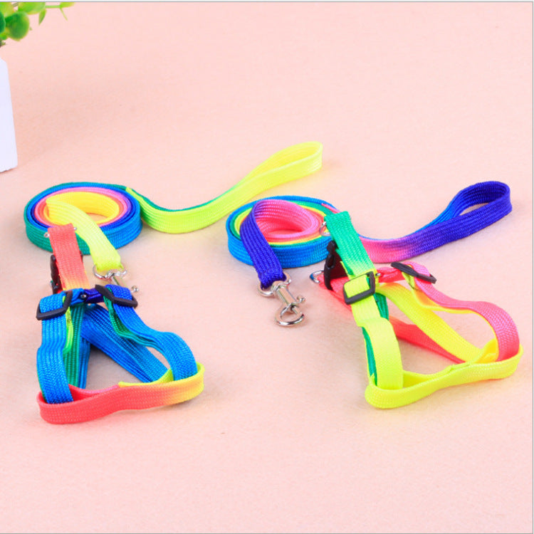 WoofCuties Vibrant Spectrum Leash Collection - Woofcuties