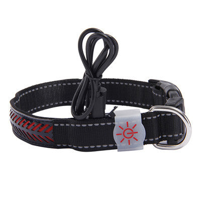 Vibrant LED Light Pet Collar - Woofcuties
