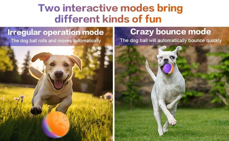 Interactive Dog Toys Ball - Woofcuties