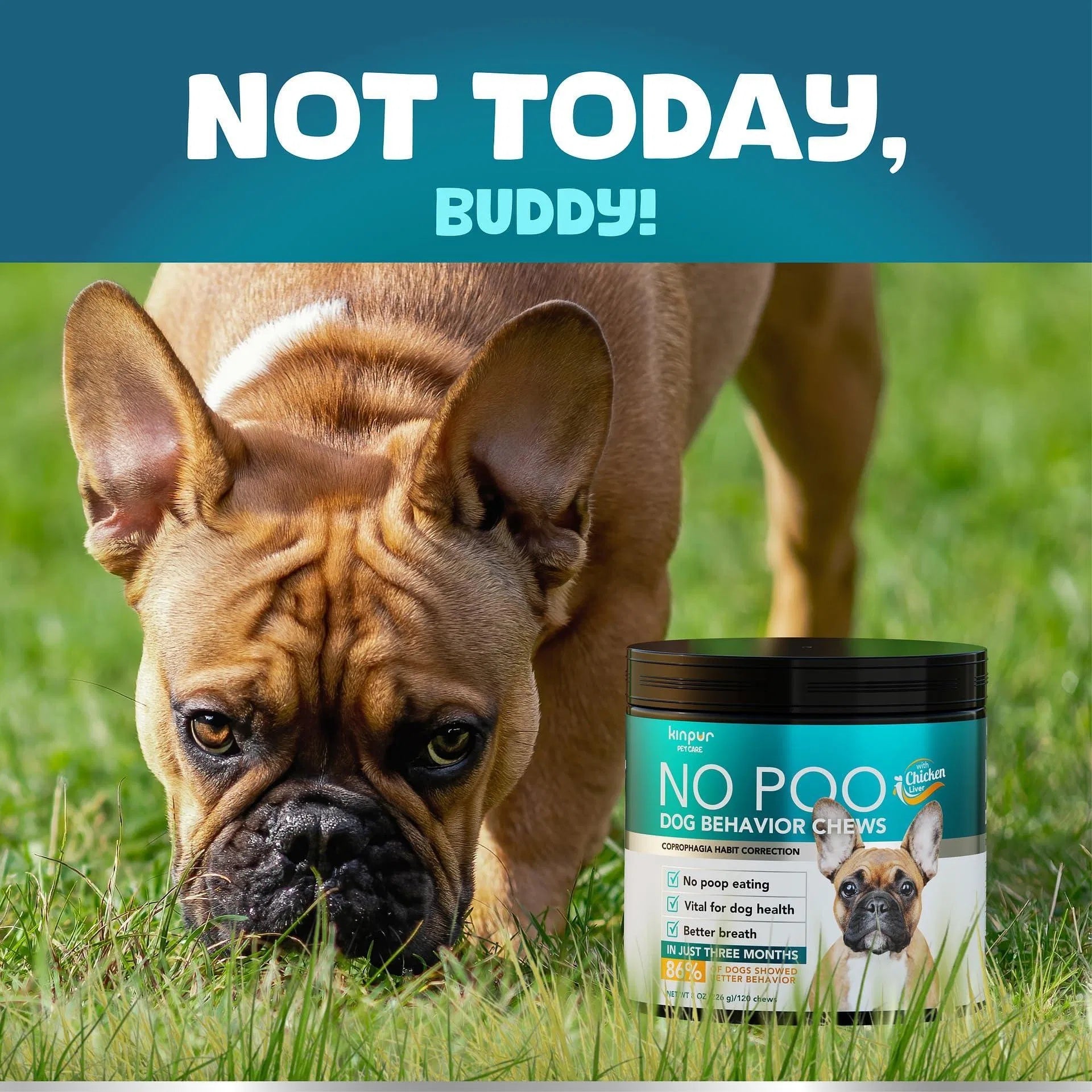 No-Poo Chew Treats - Premium Coprophagia Deterrent with Probiotics for Dogs - Woofcuties