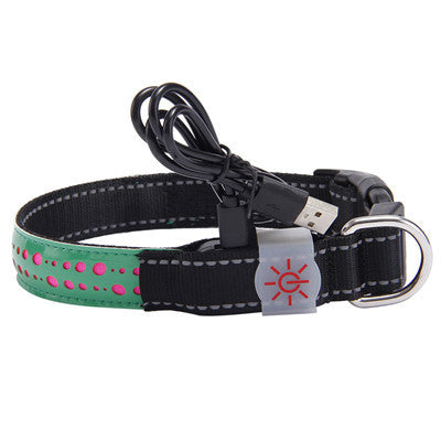 Vibrant LED Light Pet Collar - Woofcuties