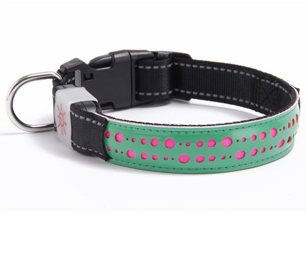 Vibrant LED Light Pet Collar - Woofcuties