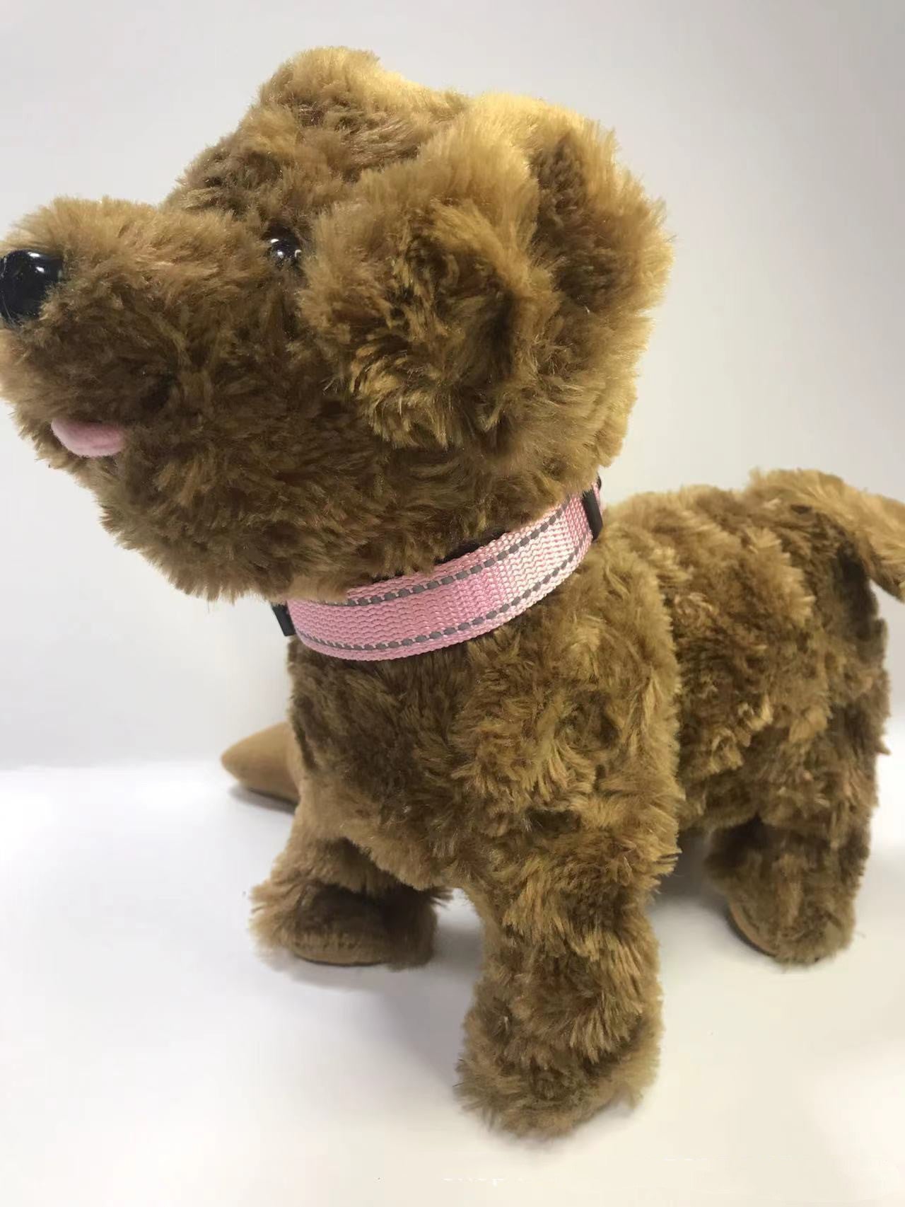 Luminous Adjustable Reflective Dog Collar - Woofcuties