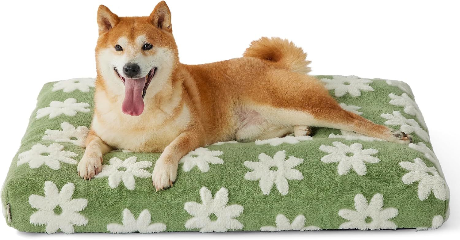 Plush Large Dog Haven - Opulent Thick Shredded Foam Bed with Modern Flair - Woofcuties