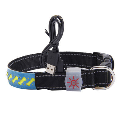 Vibrant LED Light Pet Collar - Woofcuties