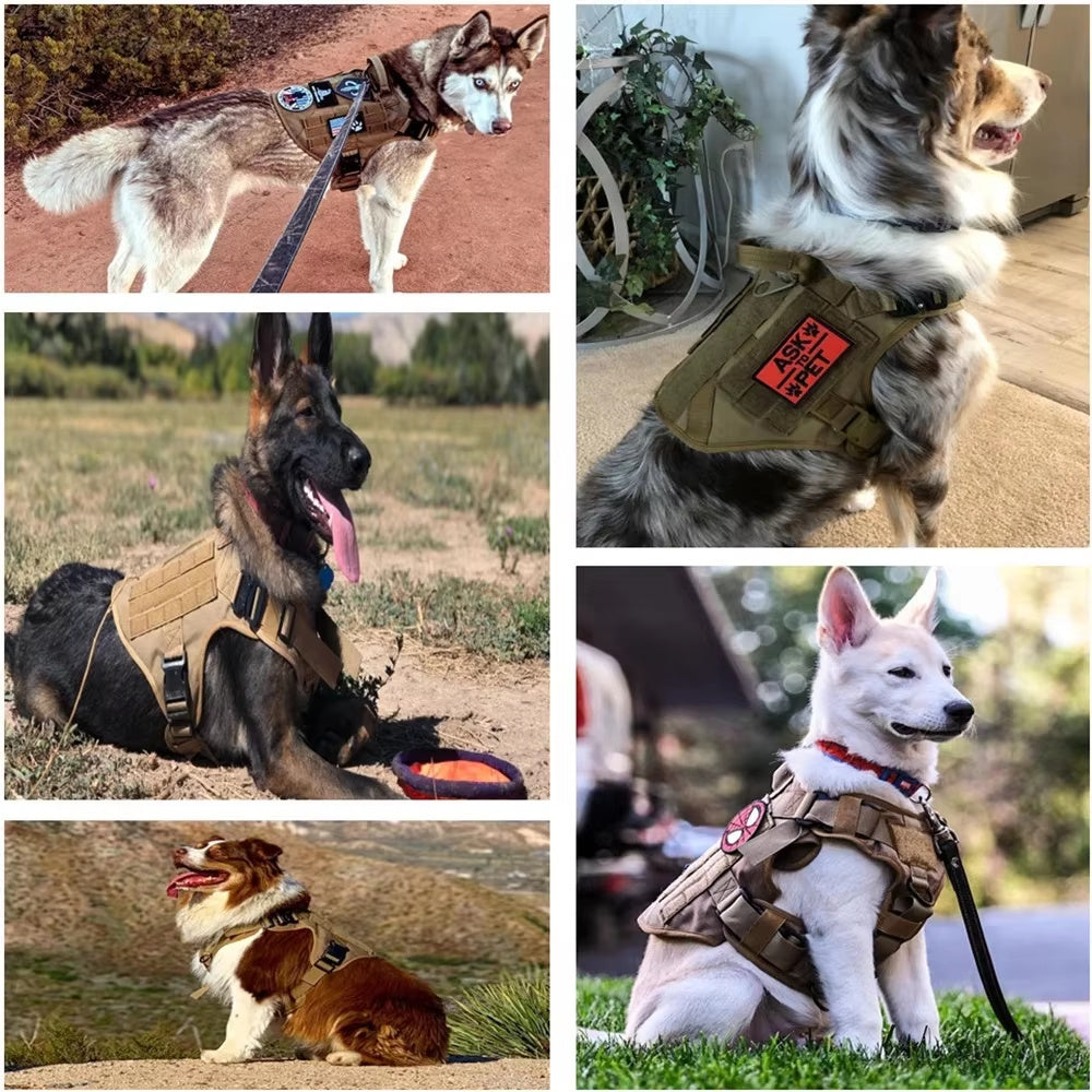 WoofCuties Opulent Camouflage Harness Set - Woofcuties