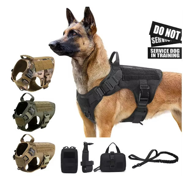 WoofCuties Opulent Camouflage Harness Set - Woofcuties