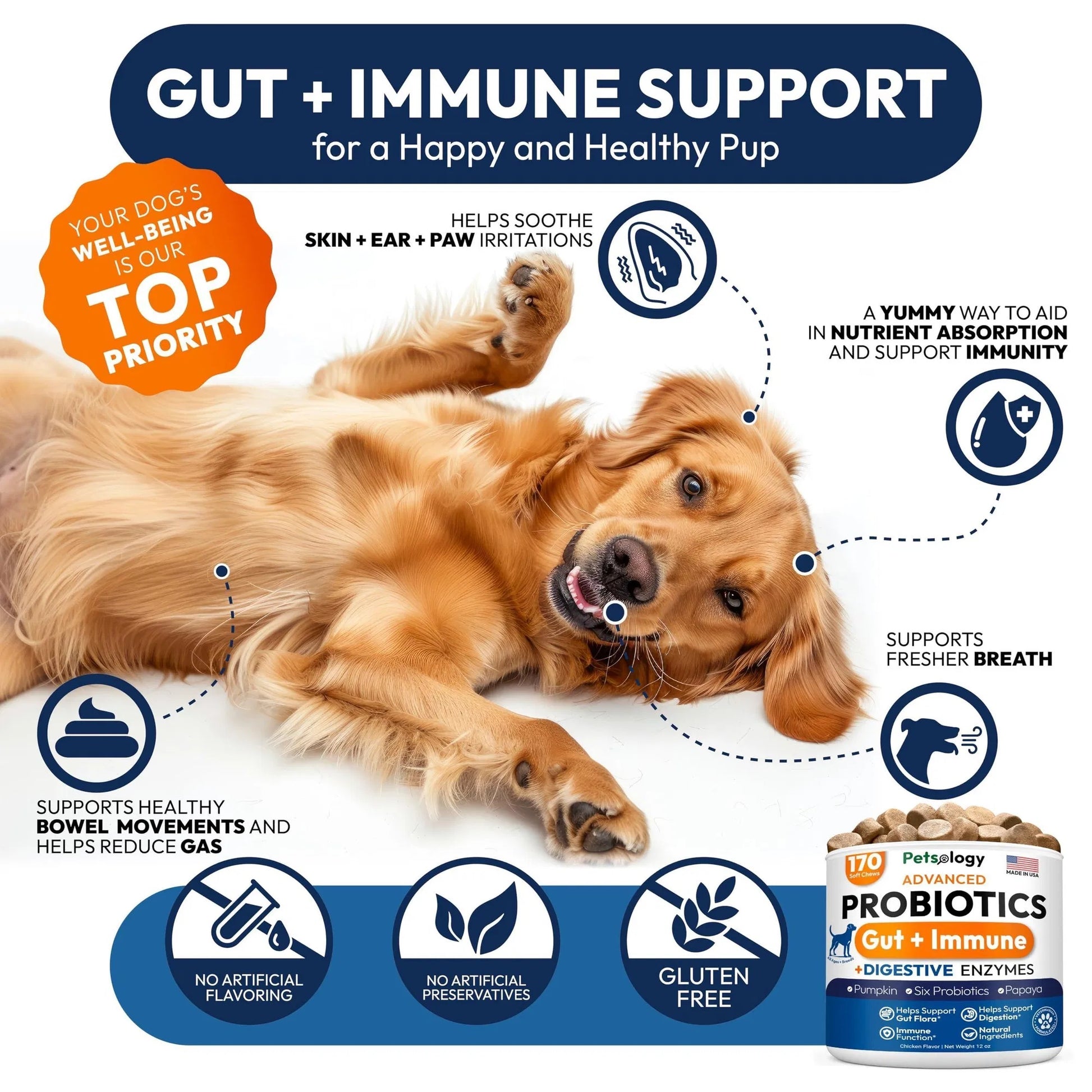 Deluxe Dog Probiotic Chews - Premium Digestive Health Support with Enzymes - Woofcuties