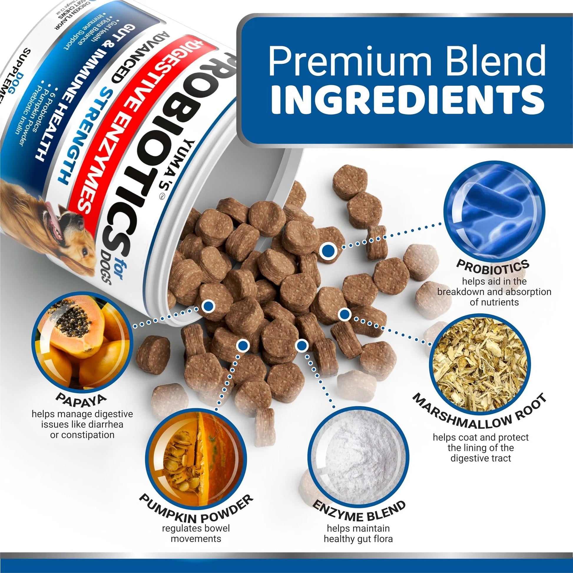 Premium Probiotic Power Chews - A Premium Digestive Health Support for Dogs - Woofcuties