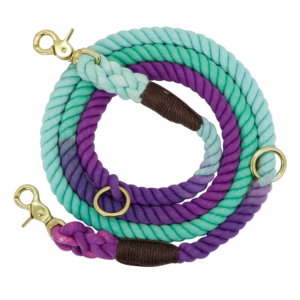 WoofCuties Luxe Gradient Master Leash - Woofcuties