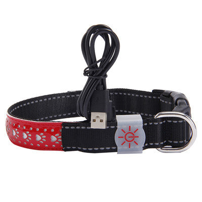Vibrant LED Light Pet Collar - Woofcuties