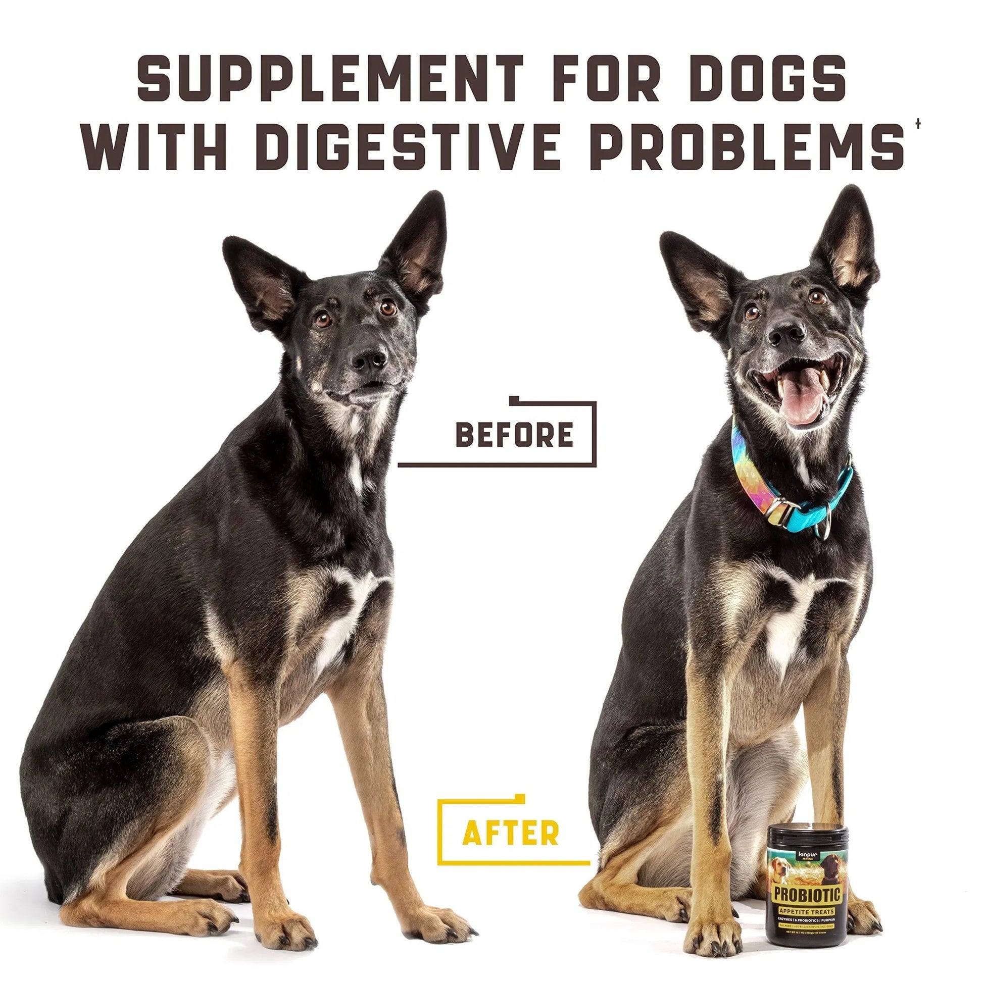 Gourmet Duck Flavour Probiotic Chews - Premium Gut Health Support for Dogs - Woofcuties