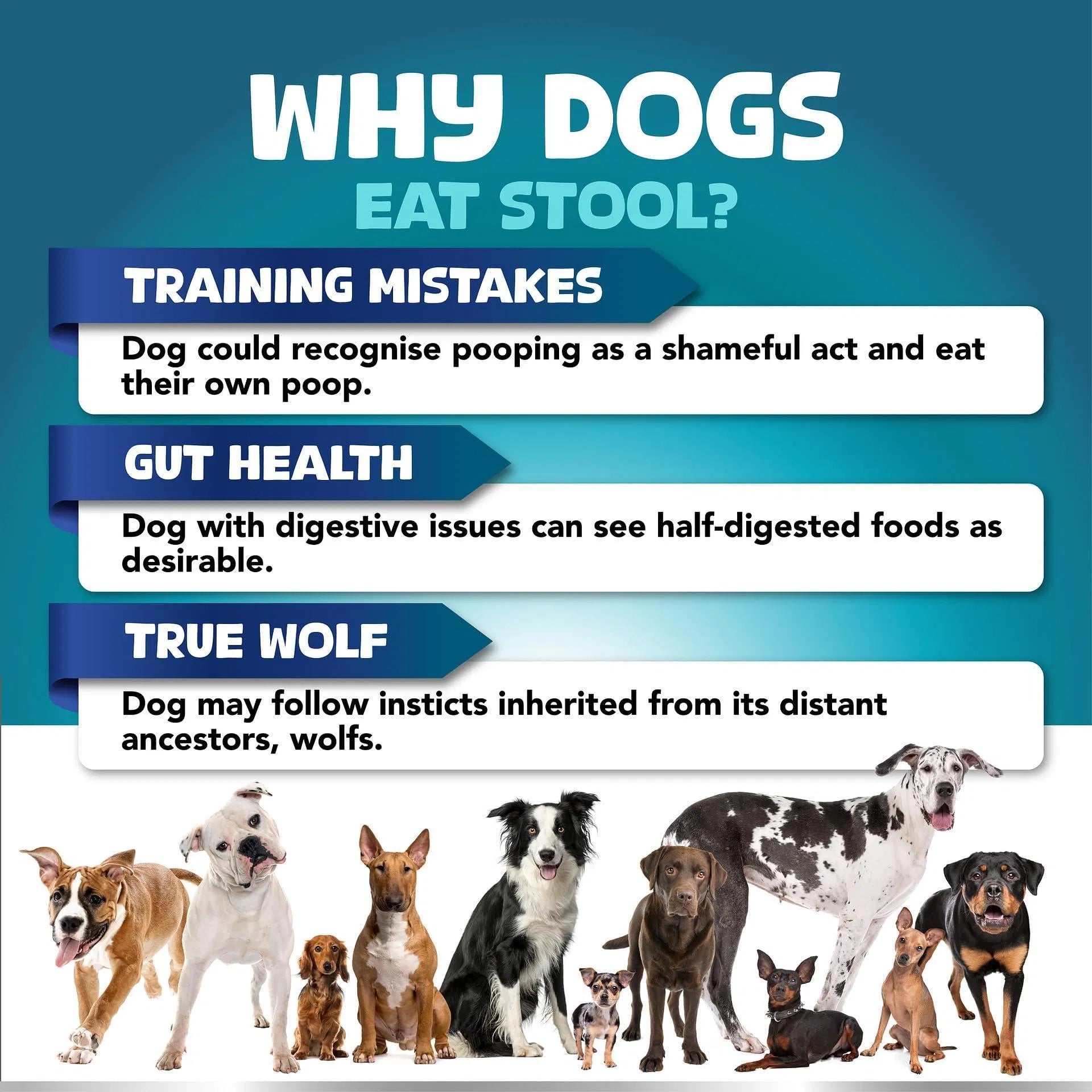 No-Poo Chew Treats - Premium Coprophagia Deterrent with Probiotics for Dogs - Woofcuties