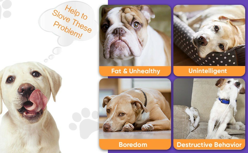 Interactive Dog Toys Ball - Woofcuties