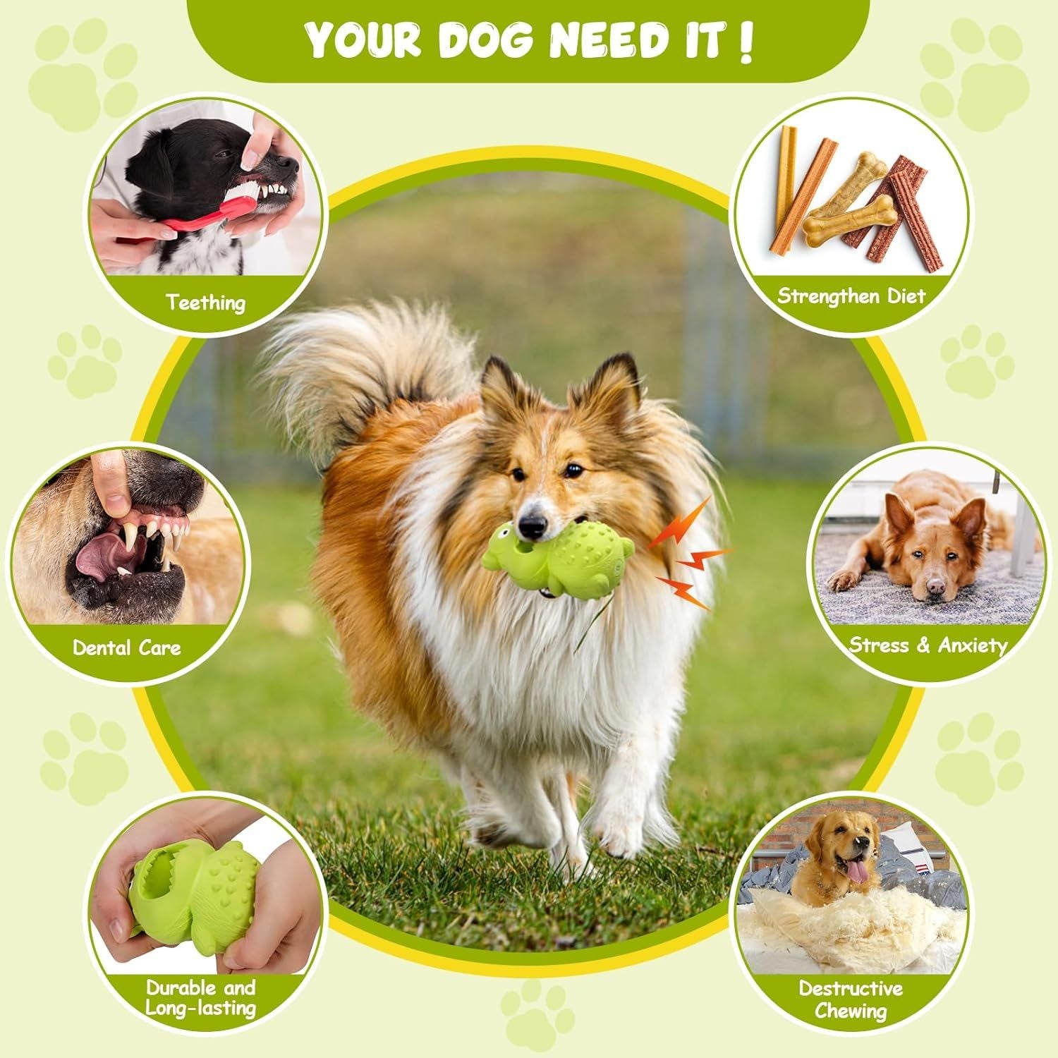 Tough Rubber Squeaky Chew Toy - Premium Interactive Toy for Aggressive Chewers - Woofcuties