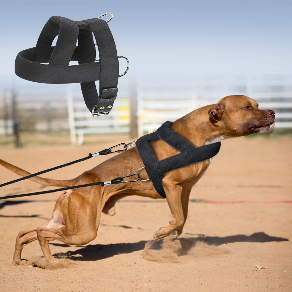Luxuriant Supreme Weight-Pulling Harness - Woofcuties