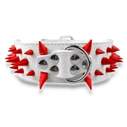 Rugged Leather Spike Dog Collar - Woofcuties