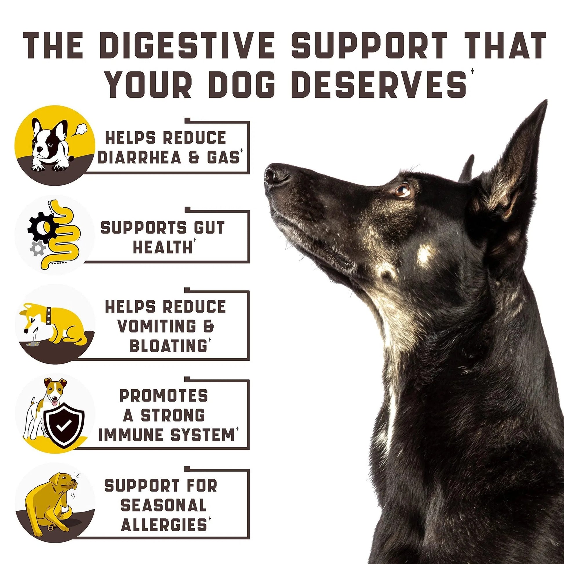 Gourmet Duck Flavour Probiotic Chews - Premium Gut Health Support for Dogs - Woofcuties