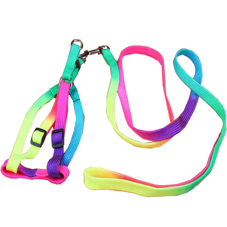 WoofCuties Vibrant Spectrum Leash Collection - Woofcuties