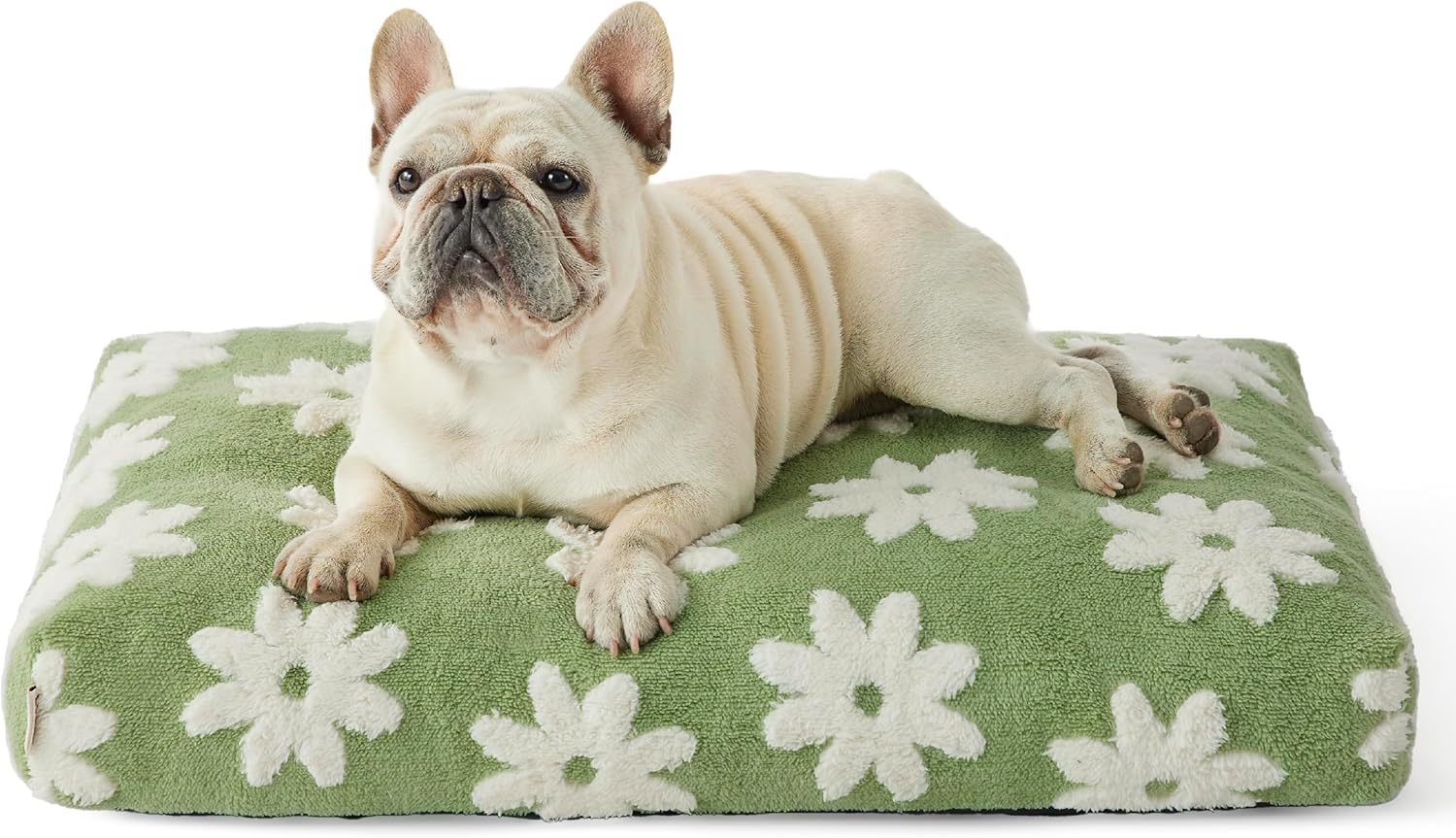 Plush Large Dog Haven - Opulent Thick Shredded Foam Bed with Modern Flair - Woofcuties