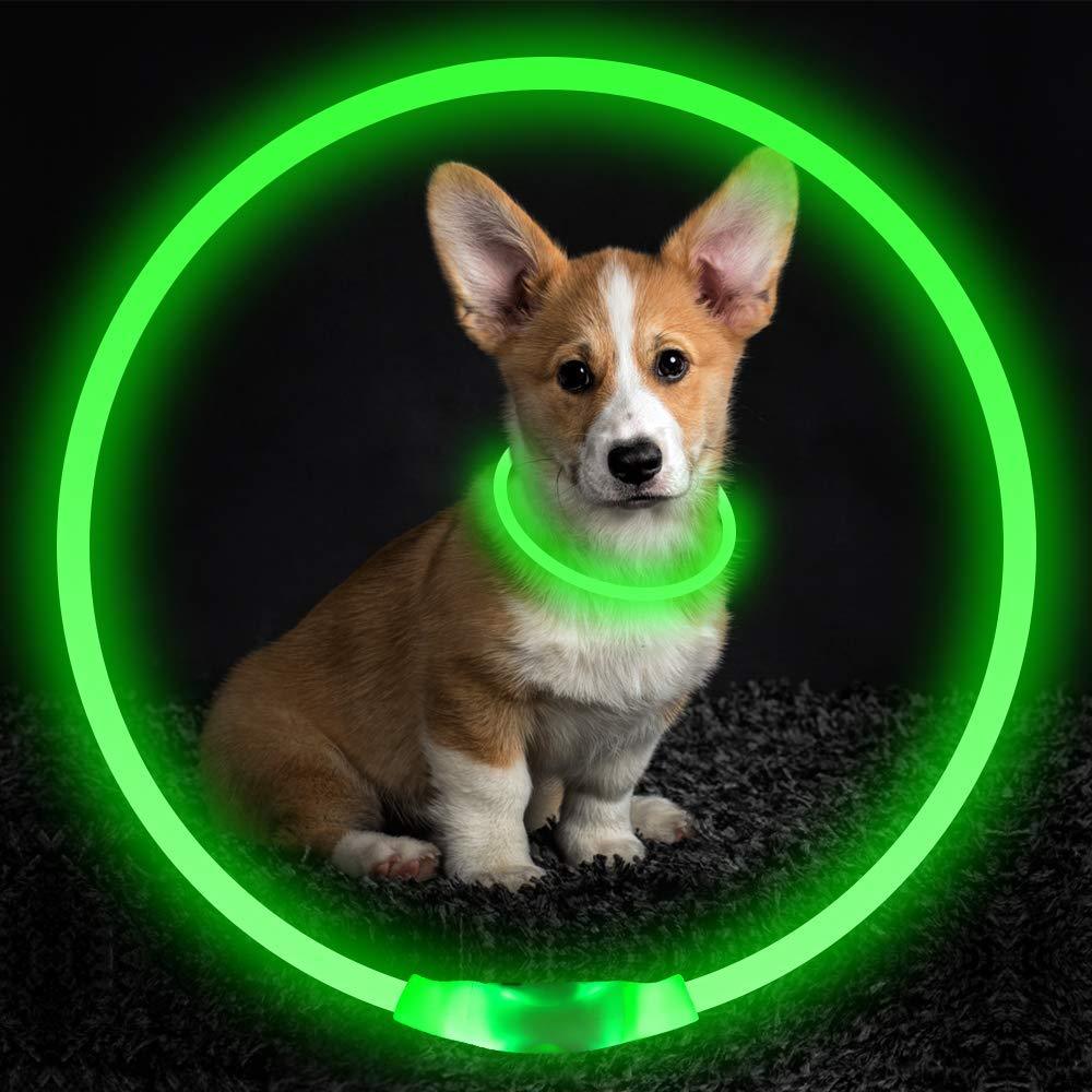 Vibrant USB Rechargeable Pet Flashing Collar - Woofcuties