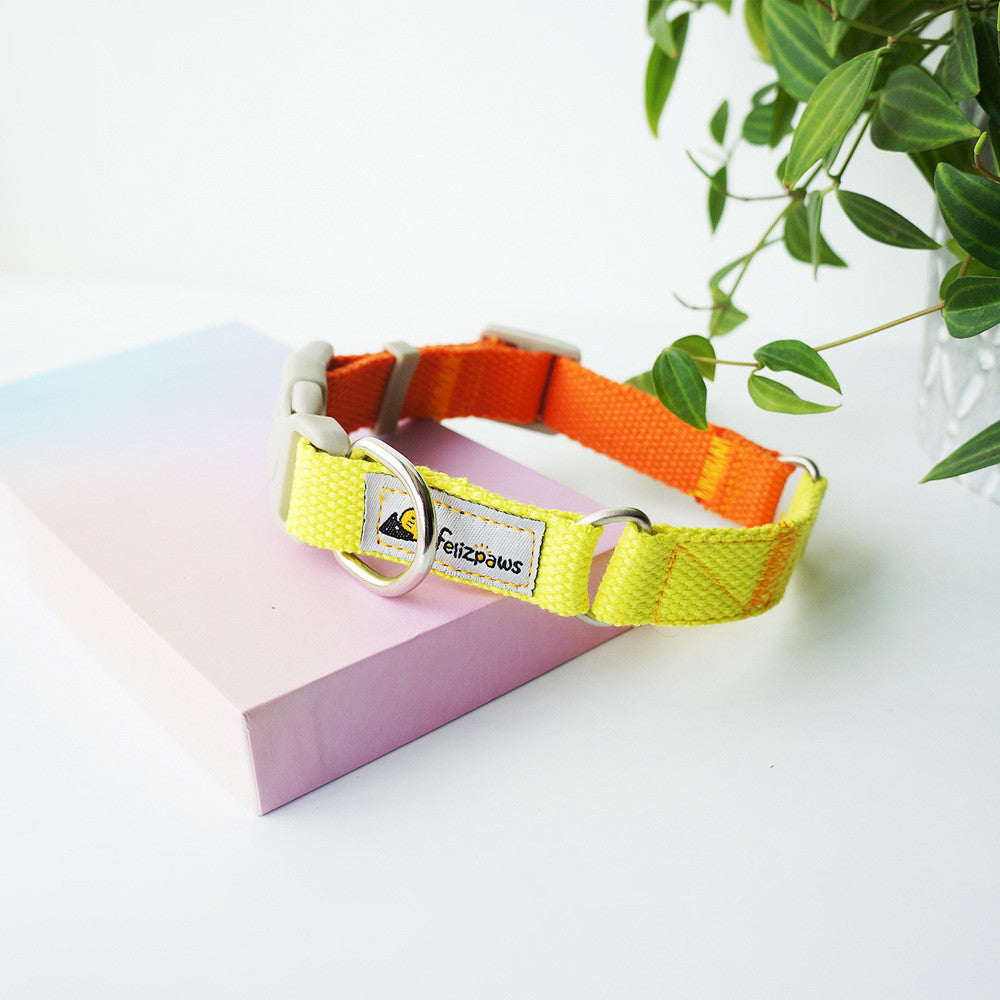 Vibrant Hit-Color Pet Collar - Woofcuties