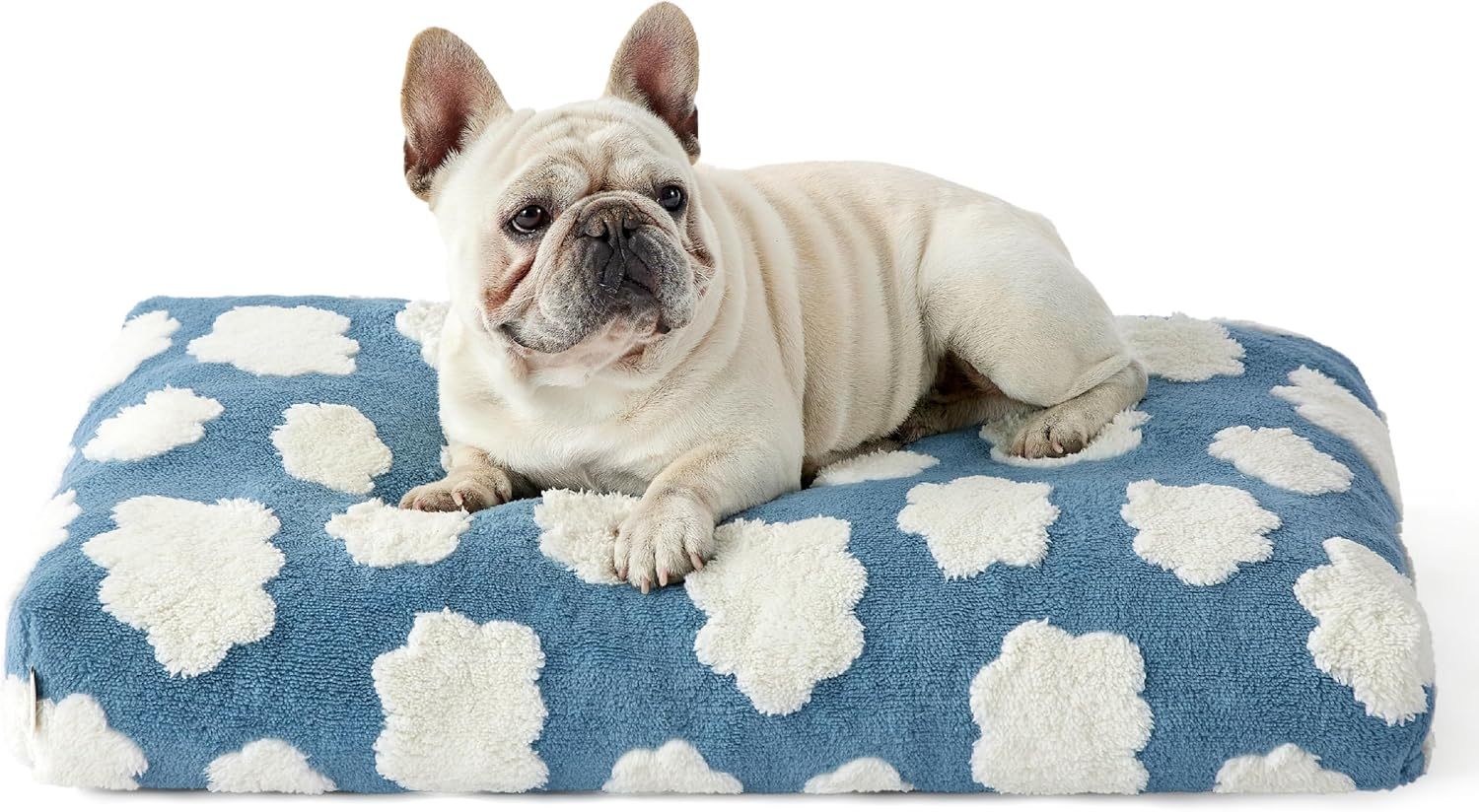 Plush Large Dog Haven - Opulent Thick Shredded Foam Bed with Modern Flair - Woofcuties