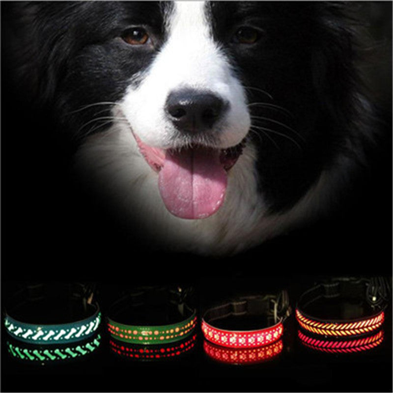 Vibrant LED Light Pet Collar - Woofcuties