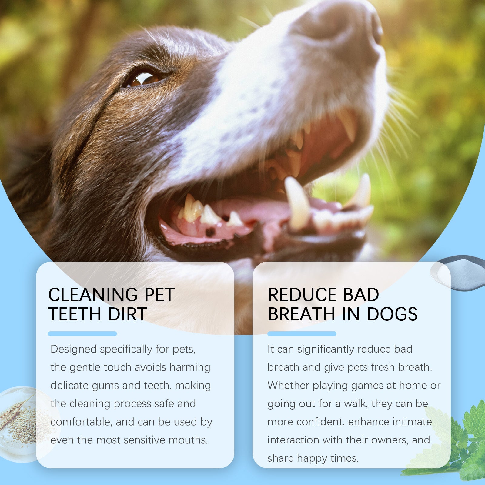 Gentle Breath Care Pet Toothbrush - Premium Oral Hygiene Tool - Woofcuties