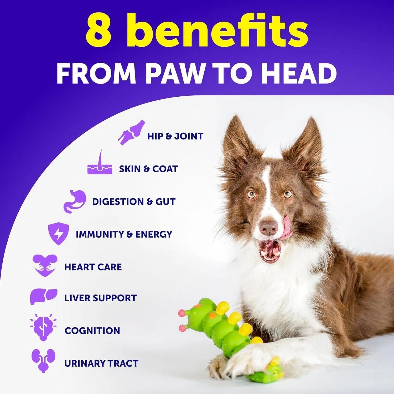 Elite Multivitamin Chewable - Premium 20-in-1 Dog Vitamins with Glucosamine - Woofcuties