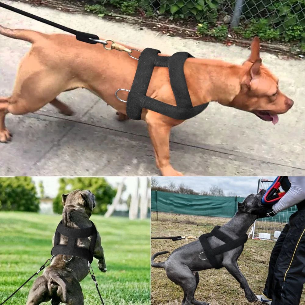 Luxuriant Supreme Weight-Pulling Harness - Woofcuties