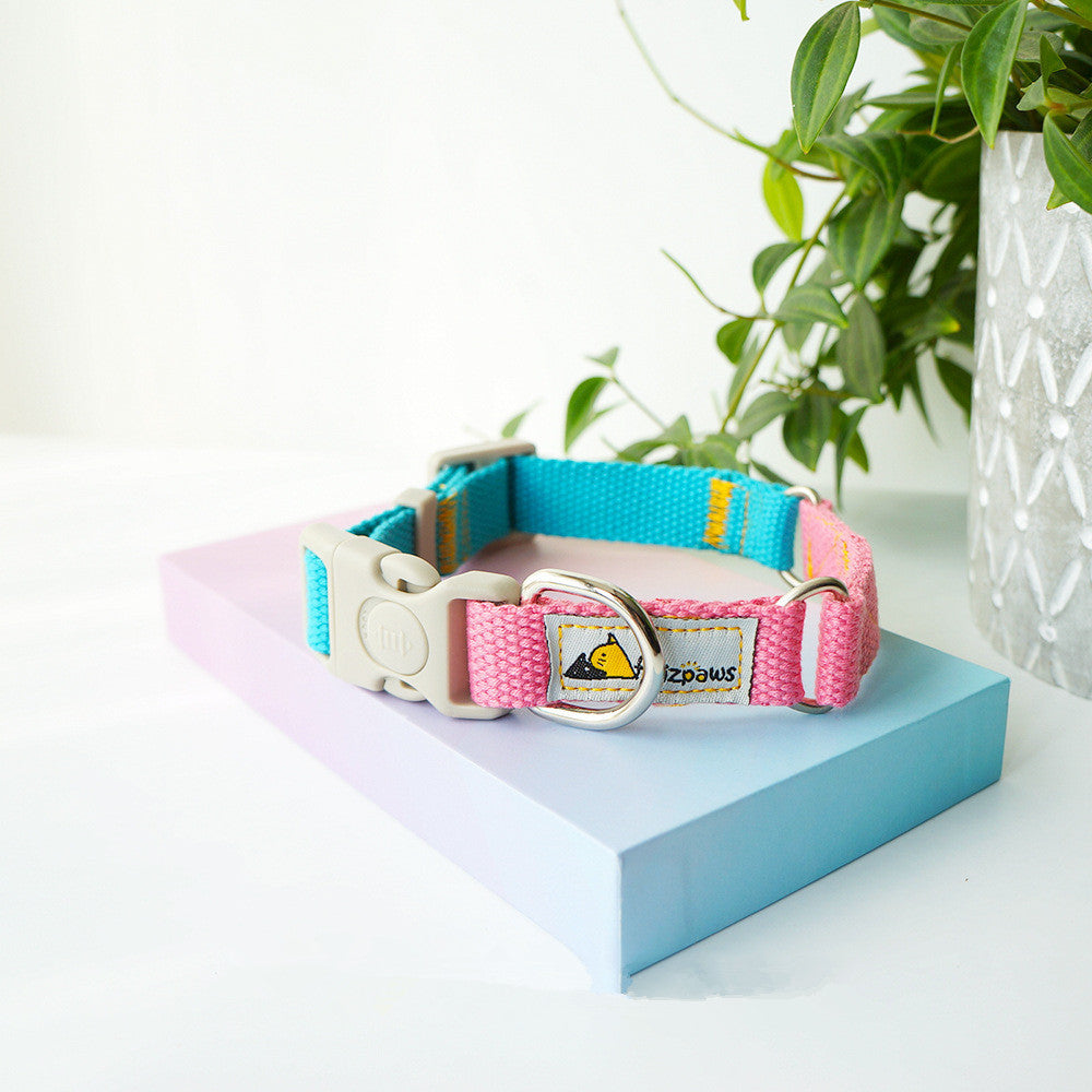 Vibrant Hit-Color Pet Collar - Woofcuties