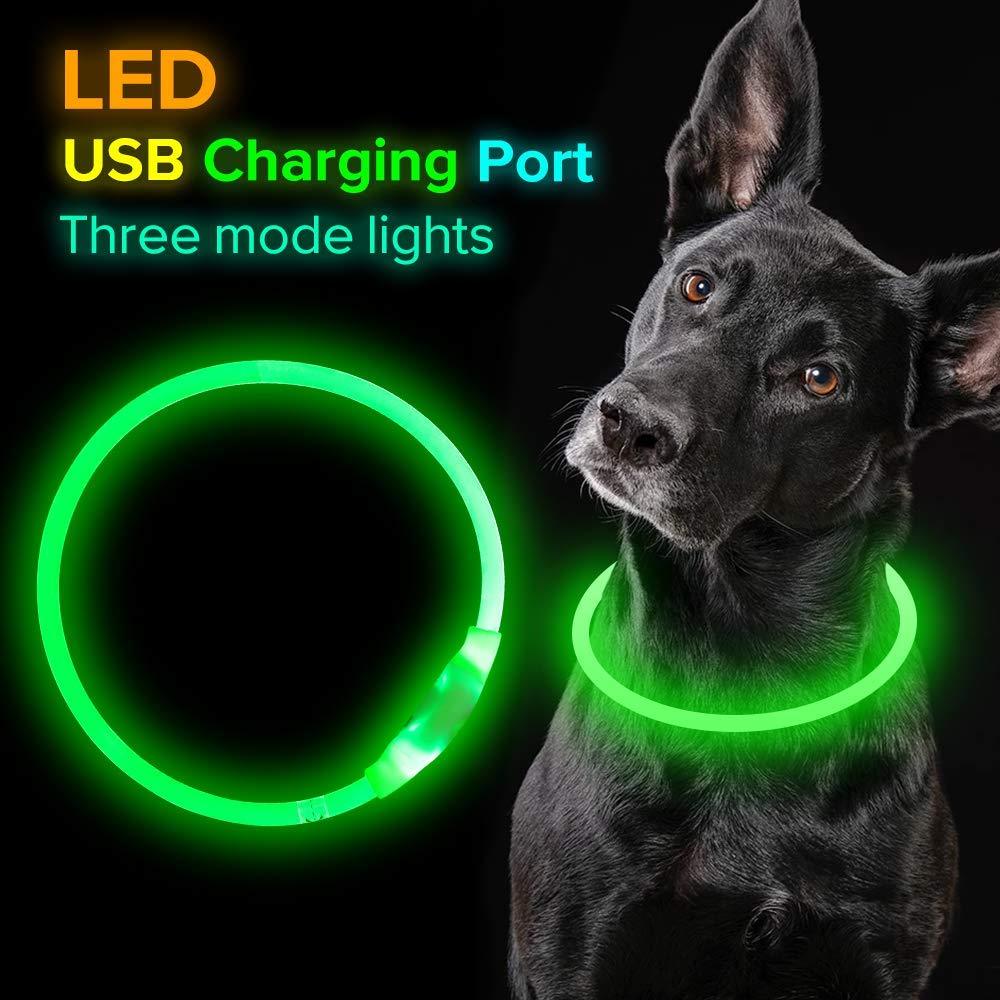 Vibrant USB Rechargeable Pet Flashing Collar - Woofcuties