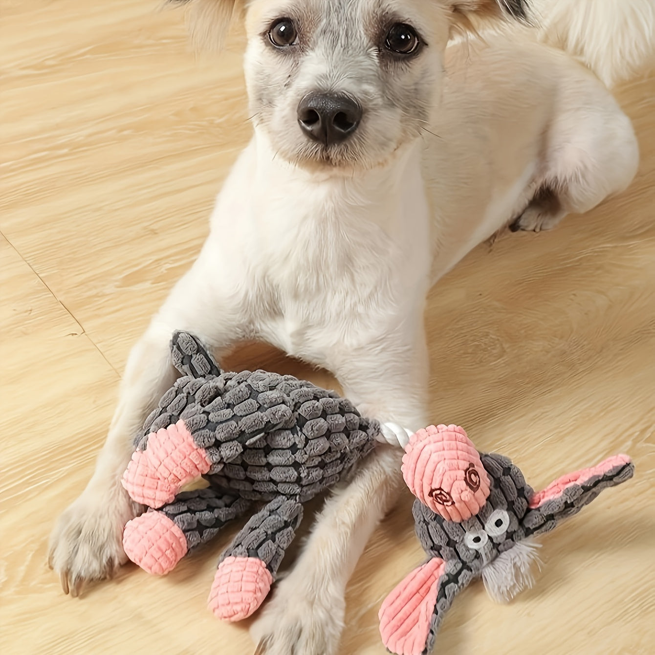 Squeaky Dog Toys Pack - Cute Soft Plush Chew Toys for Puppies - Woofcuties
