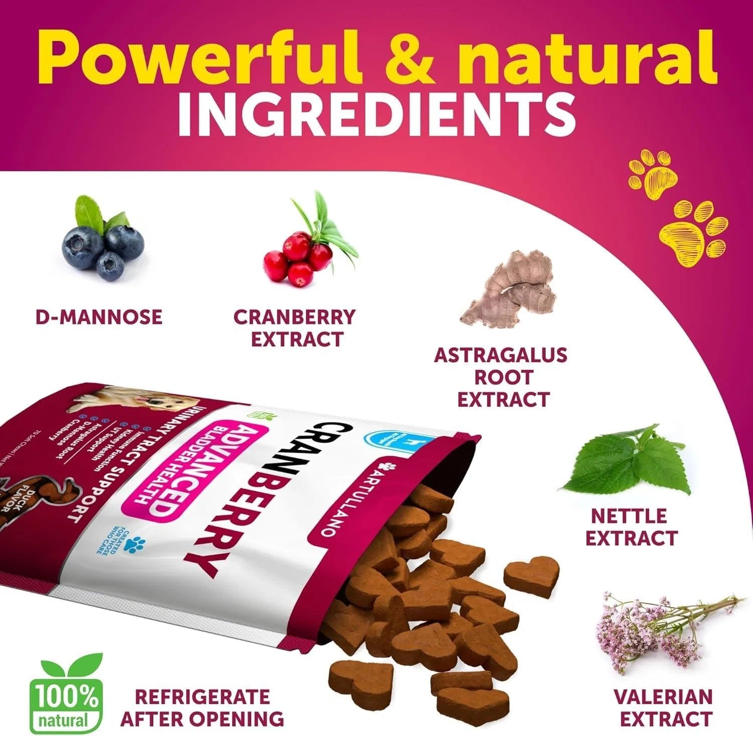 Cranberry UTI Relief Chews - Premium Bladder and Kidney Support for Dogs - Woofcuties