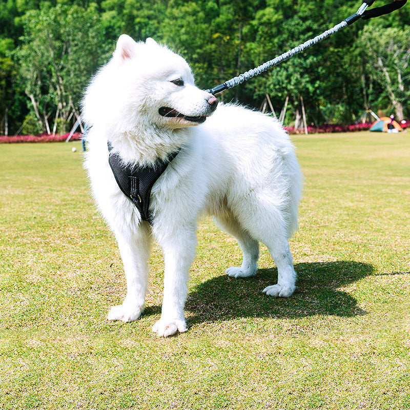 WoofCuties Majestic Medium Dog Trek Leash - Woofcuties