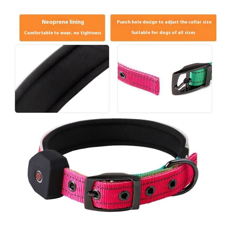 Radiant LED Luminous Dog Collar - Woofcuties