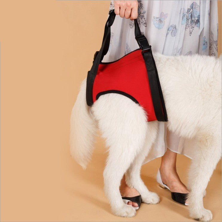 Pet Specific Safety Care Equipment Auxiliary Belt - Woofcuties
