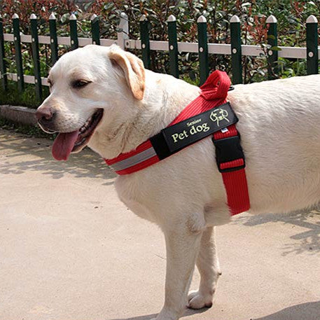 WoofCuties Regal Chain Vest Leash - Woofcuties