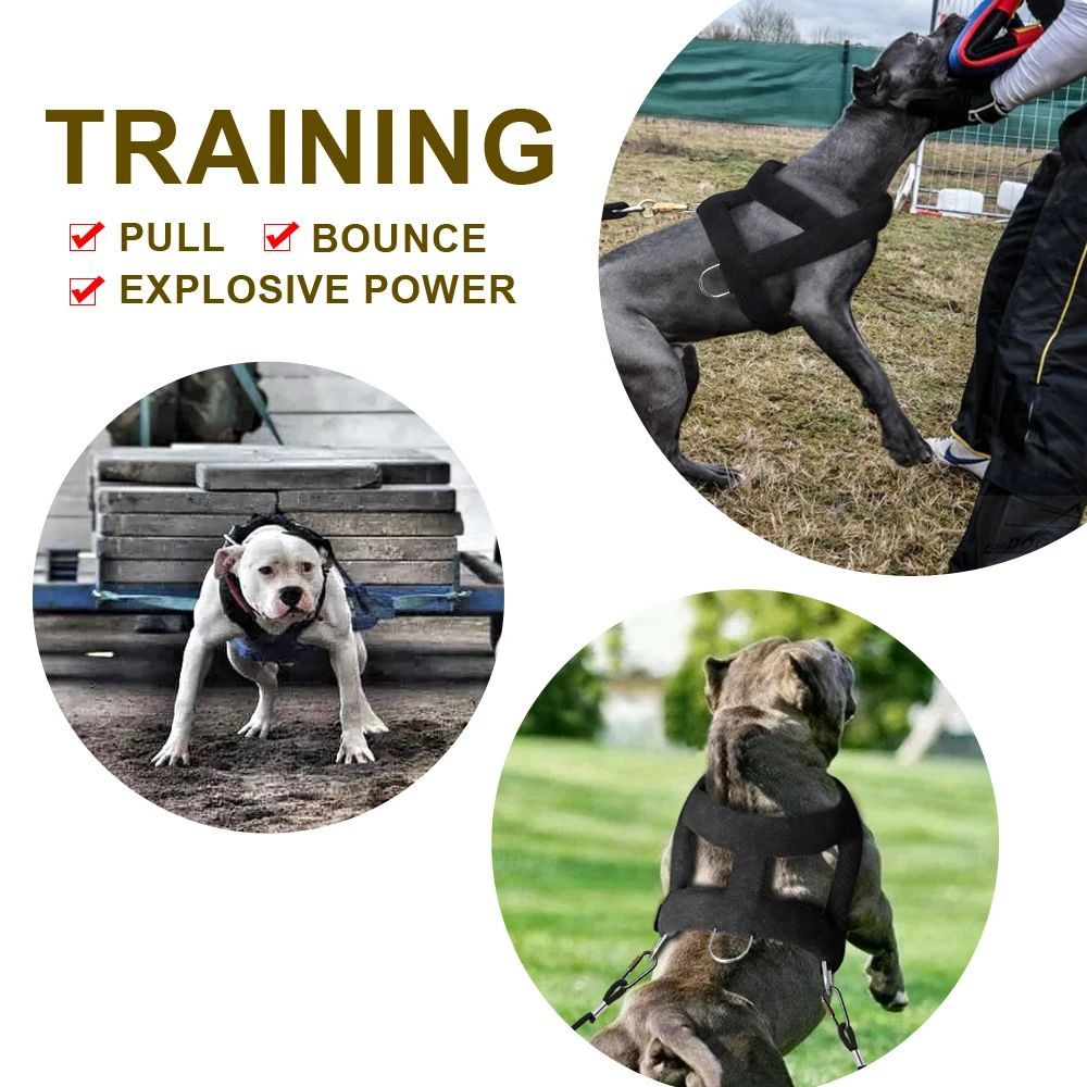 Luxuriant Supreme Weight-Pulling Harness - Woofcuties