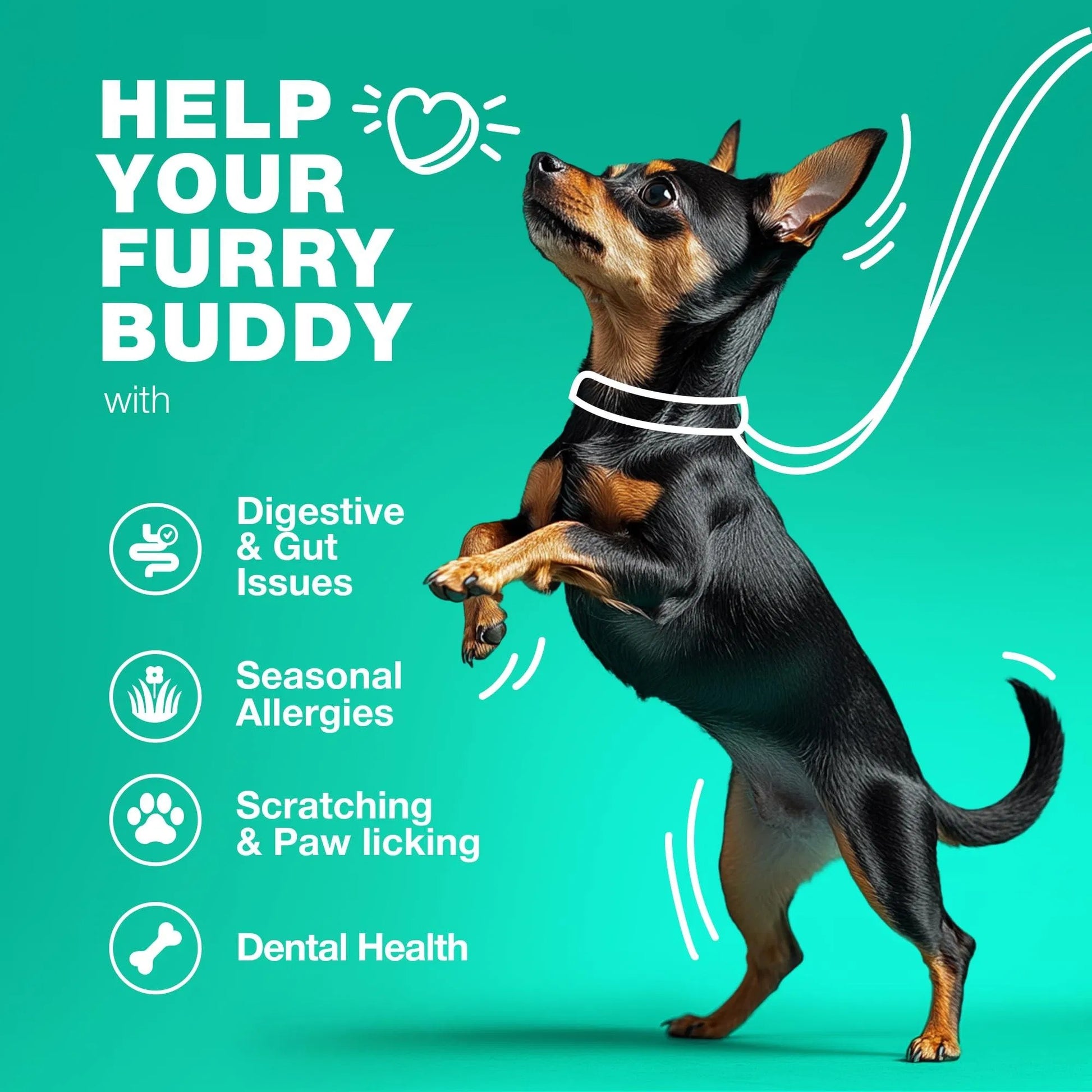 Probiotic Wellness Chews - Premium Gut Health and Coprophagia Deterrent for Dogs - Woofcuties