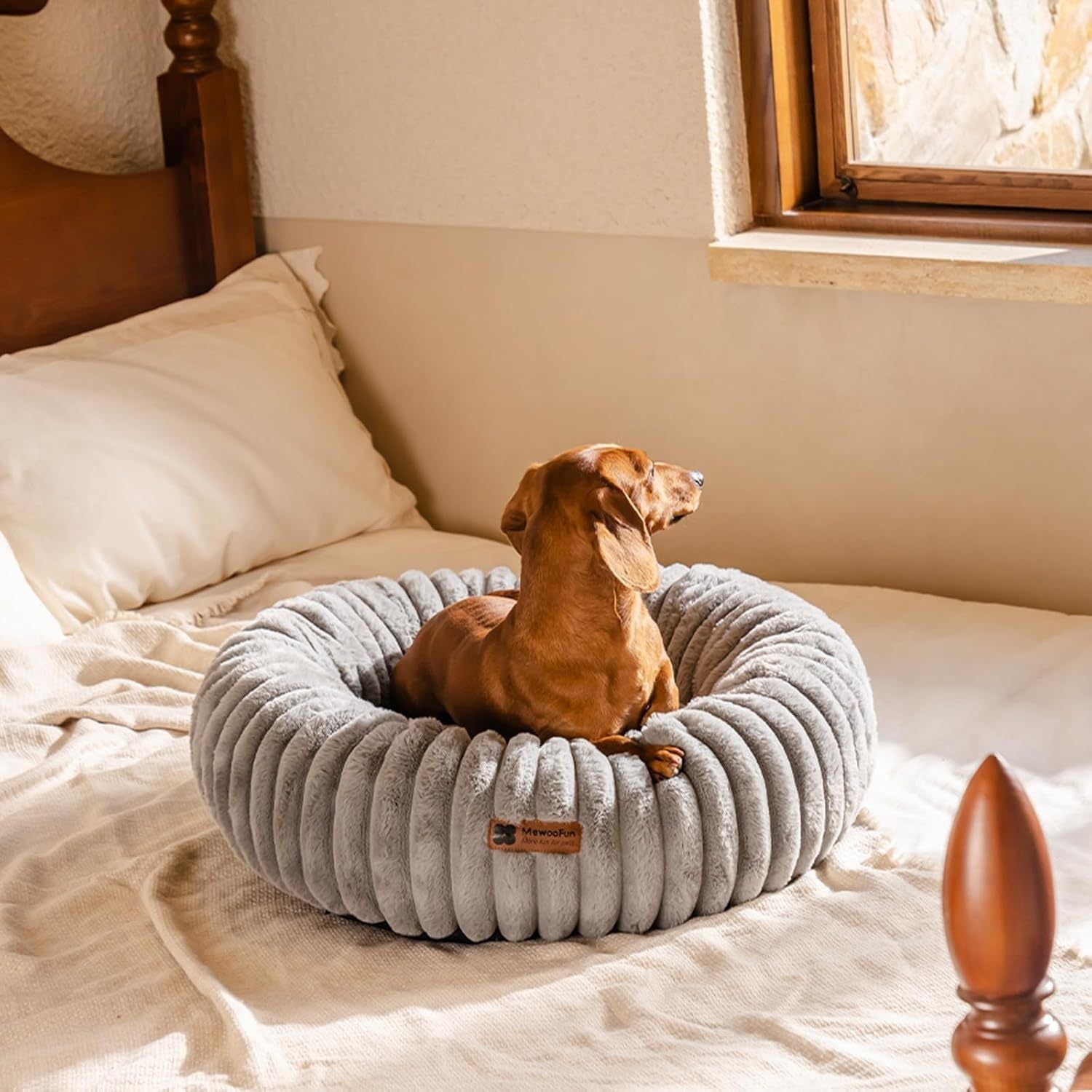 Donut Cat Bed - Washable Round Pet Bed for Indoor Cats, Kittens, and Puppies - Woofcuties