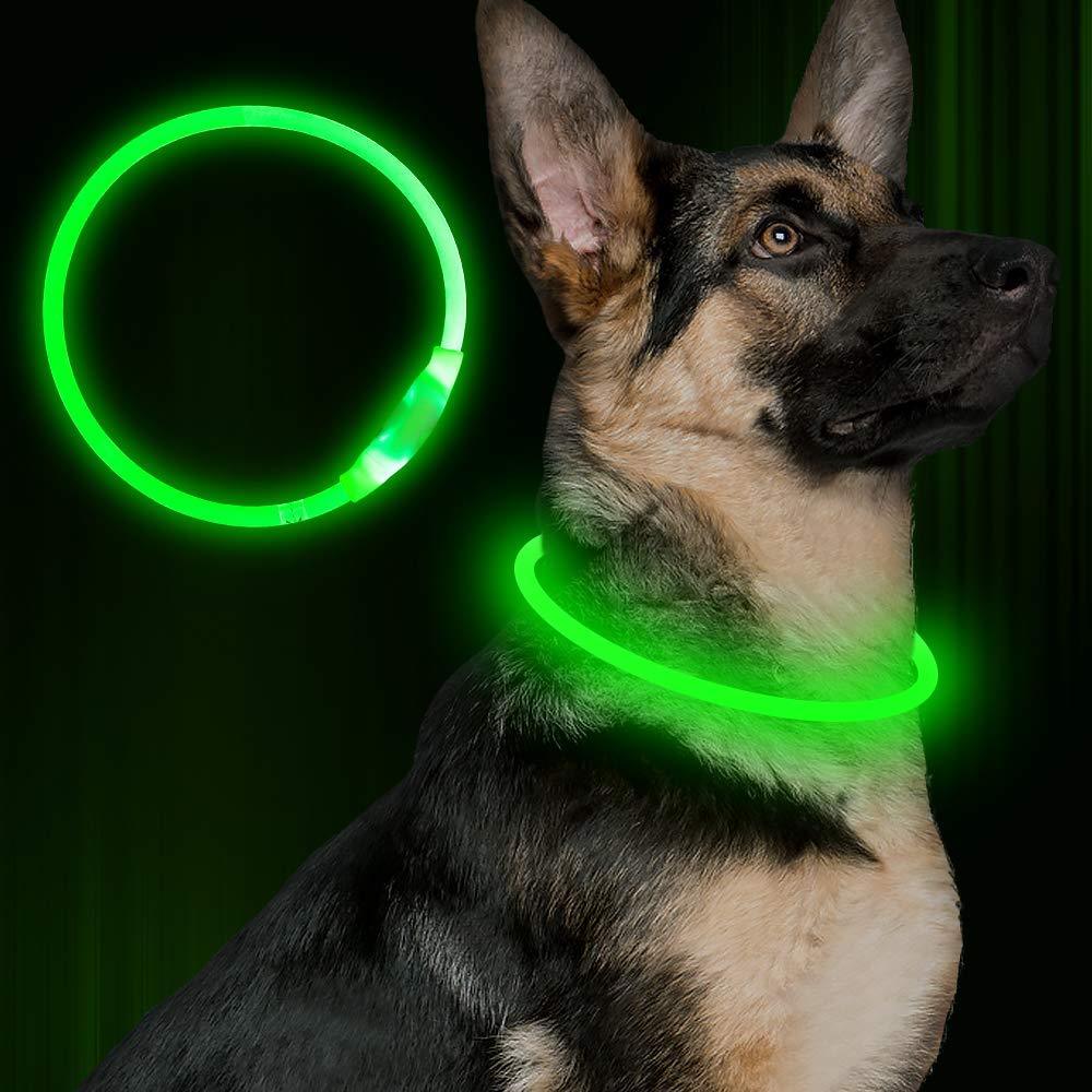 Vibrant USB Rechargeable Pet Flashing Collar - Woofcuties