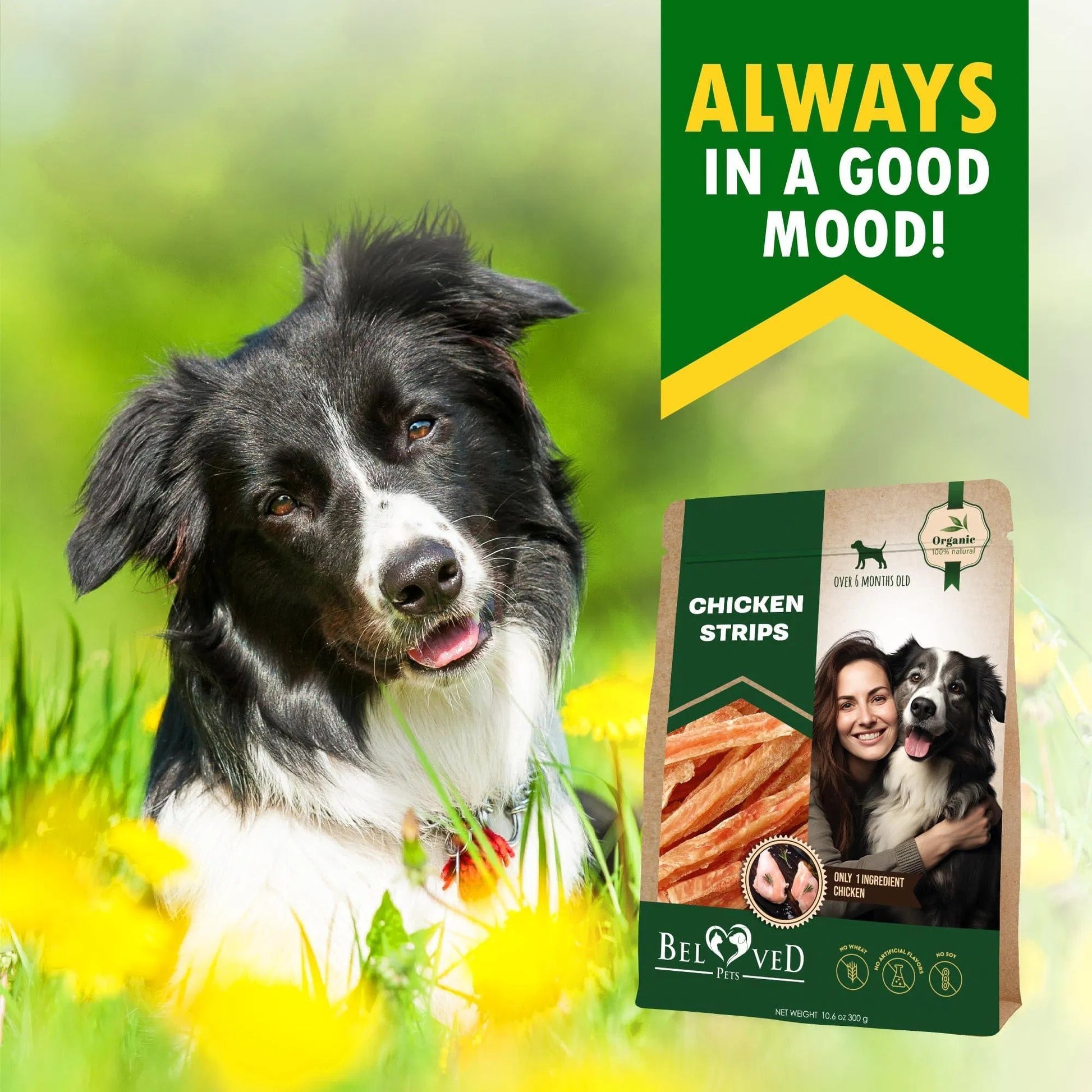 Chicken Strips Dog Treats - Premium Human-Grade Meat Sticks - Woofcuties