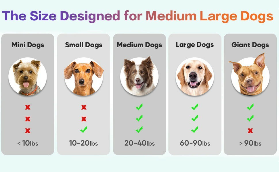 Interactive Dog Toys Ball - Woofcuties