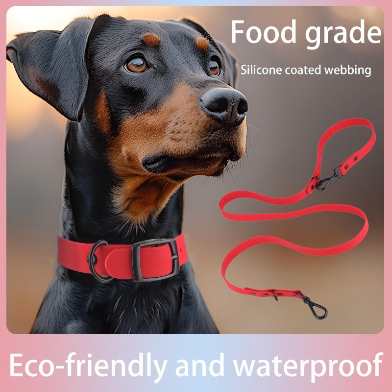 Pristine Silicone Pet Ensemble - Luxuriant Waterproof Collar and Leash Set - Woofcuties