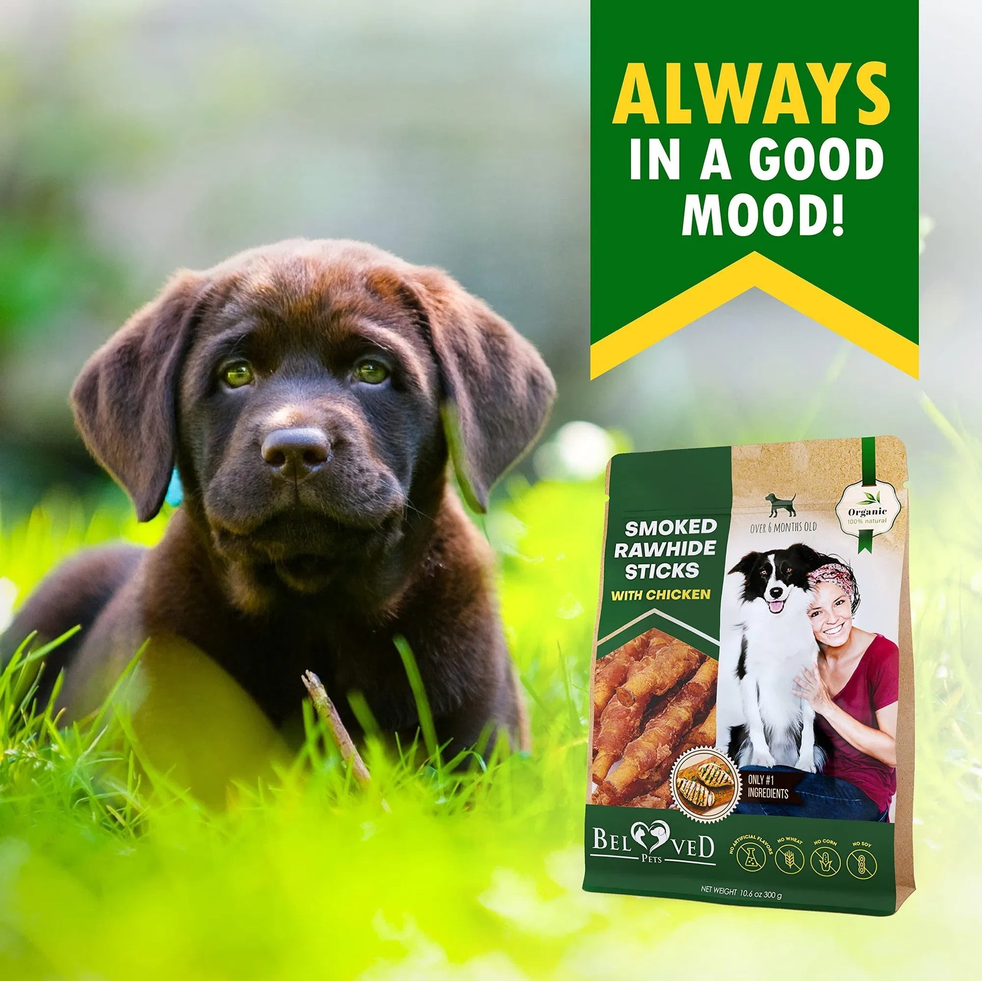 Smoked Rawhide Chicken Sticks - Top-Grade Chew Treats - Woofcuties