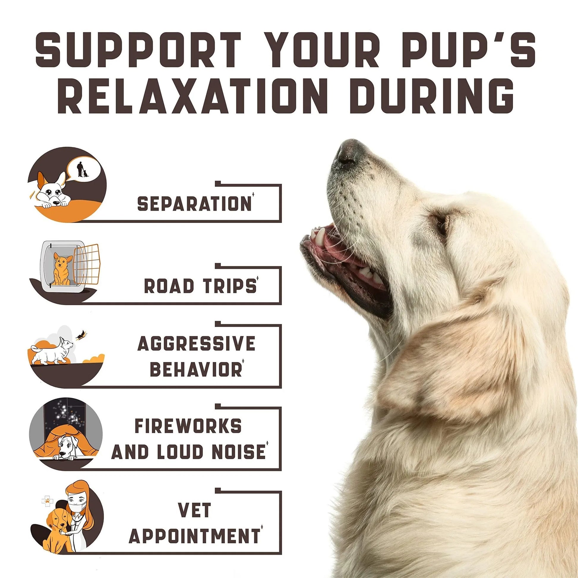Premium Natural Hemp Calming Chews - Peanut Butter Flavor Stress Relief - Woofcuties